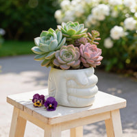 Sculptural Fist-Shaped Planter Compact Fist Planter Unique Flowerpot Modern for Desk, Shelf