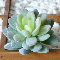 Flocked Artificial Succulent Plants for Floral Arrangements and Home Decor
