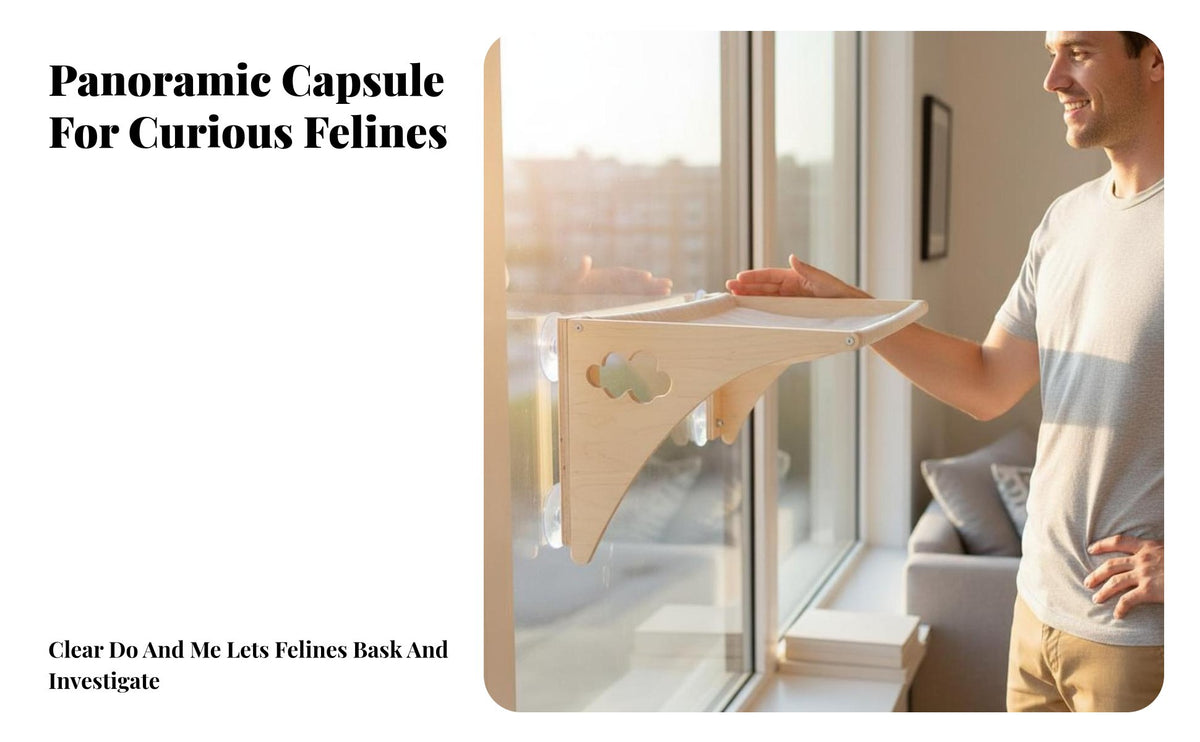 No-Drill Installation Suction Cup Window Perch Transparent Capsule View Feline Furniture Space Saving Feline Activity Center Includes Scratching Surface for Felines, Panes, Indoors, Living Room, Bedroom