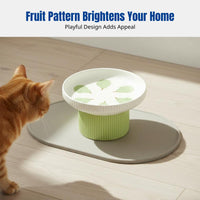 Ceramic Cat Bowl, Elevated Pet Dish, High Base, Neck Protection, Anti-Chin Stain, Cute Fruit Design