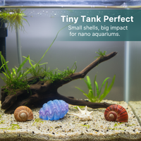 Luminous Ocean Shells & Conches for Aquarium & DIY Decor