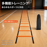 agility ladder