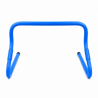 training agility ladder and hurdles set