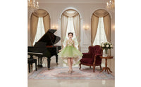 Flower Fairy Costume Dress Woodland Inspired for Weddings, Halloween