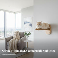 mounting surfaceMounted feline Climbing Rope Suction holder Mount 4-Step feline Stairway Built-in shreding Surface Pet Furniture for Apartment Dwellers, Indoor, Indoors