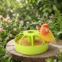 Automatic Bird Feeder and Cockatiel Feeder, Freestanding Budgie Feeder, Anti-Spill Indoor Bird Food Tray for Canary and Finch