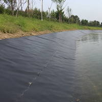 High-density Polyethylene Waterproof Sheet Geomembrane For Farmers Impermeable Sheet Thick Black