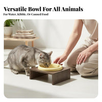Long-Lasting Ceramic Pet Bowl Safe Material Round Food and Water Dish Easy to Clean for Cats, Kittens