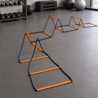 agility ladder