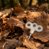tent stake