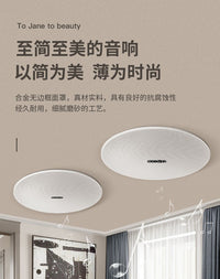 丹麦丹拿音效蓝牙吸顶音响套装背景音乐吸顶喇叭无需环绕大音量