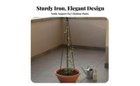 Garden Obelisk Trellis Indoor Outdoor Use Plant Climbing Support Garden Spire Trellis for Balcony, Courtyard, Flower Beds