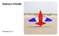 Dynamic Three-Color Design Kite Easy to Fly Airplane Air-Resistant Kite Resistant for Adults, Beginners, Beach, Park