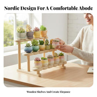 Stair Design Tiered succulent plant Stand Space-Saving Multilevel Display Stand Decorative Plant Holder for Office Workers, Home Decorators, Students, Windowsill, Balcony, Study Room, Countertop