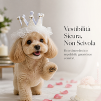 Pet Birthday Party Hat for Dogs and Cats - Decorative Headwear