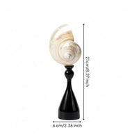 Decorative Sculpture French Vintage Coastal Mollusk Ornament Minimalist Black Stand Modern Shell Statue for Shelf