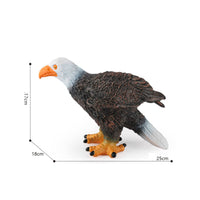Squeezable Bird Toy Realistic Soft Bird Figure Textured for Classroom, Toddlers