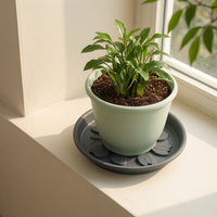 Thickened Plastic Flower Pot Saucer with Elevated Base for Drainage