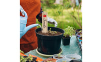 14 Pieces Garden Labels with Stakes Flat Garden Placards Plastic Plant Labels Decorative Markers Reusable for Gardeners