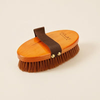 Horse Grooming Brush Removes Mud and Oval Horse Simple to Clean to Clean