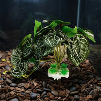 Realistic Artificial Plants for Aquatic Tank Decorations, 15cm Faux Plant with Weighted Base Reptile Habitat Decor for Terrariums