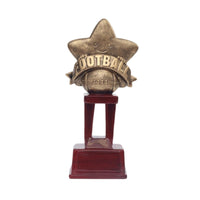 Star Trophy Decorative Award Trophy Display Ready Ornament for Students, Athletes