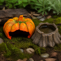Reptile Hideout House Decoration for Corn Snakes Geckos Lizards, Resin Pumpkin/Tree Stump Design