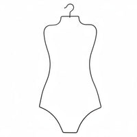Lingerie Hanger Metal Bodysuit Display Rack Minimalist Style Retail Fixture for Closet