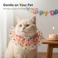 Pet Birthday Bandana and Hat Set for Small to Medium Dogs