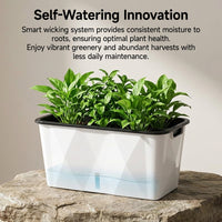 Automated Watering Planter, Rectangular Plant Pot with Drainage System Planter Box for Vegetables Strawberries