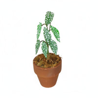 1:12 Scale Plant Ornament Lifelike Foliage 1:12 Scale Plant Realistic Detail Dollhouse Botanical Decor for Collectors, Hobbyists
