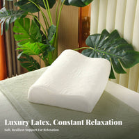 Includes Pillowcase Beauty Salon Pillow Removable Washable Cover Latex Pillow High Elasticity for Beauticians, Adults, Spa, Resting, Bedroom