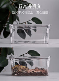 鼠妇饲养盒饲养箱西瓜虫饲养盒鼠妇生态缸鼠妇饲养套餐西瓜虫饲养