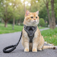 Cat Vest Harness with Reflective Strips, Breathable Mesh Vest Style Harness for Training, Kitten Walking Harness and Outdoor Cat Leash Set