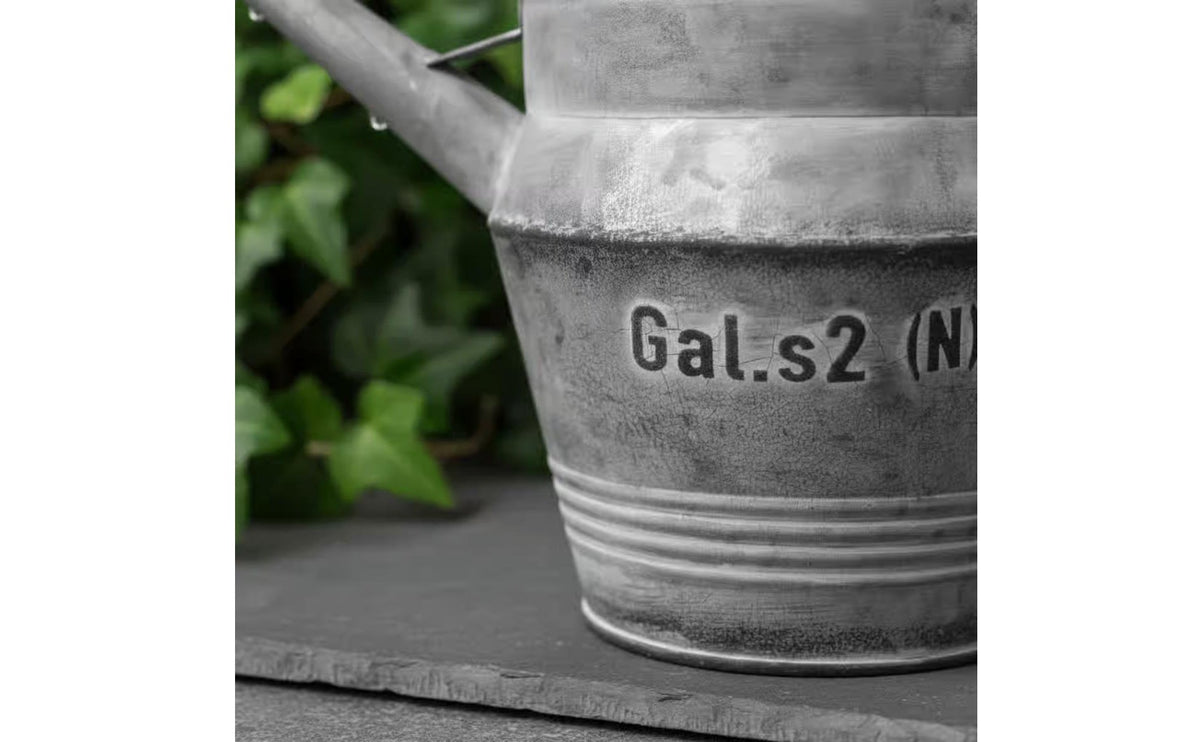 Watering Can Planter Multi-Purpose Vintage Watering Can Vase Rust-Resistant