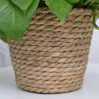 Plant Pots for Home Decor and Indoor Plants, Nordic Style Corn Husk and Cattail Plant Basket, Indoor Plant Pot for Succulents, Flower Pots