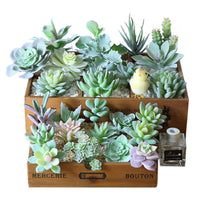 Flocked Artificial Succulent Plants for Floral Arrangements and Home Decor