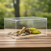 Reptile Breeding Box High Optical Clearness Reptile Terrarium Full View Acrylic Terrarium for Hatching