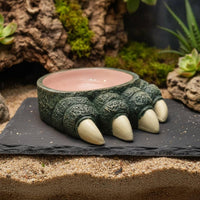 Reptile Talon Bowl Not Easily Tipped Over Amphibian Food Water Bowl Amphibian Water Dish Even Interior Surface Terrarium
