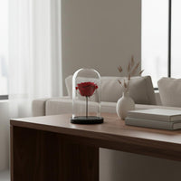 Glass Showcase Dome with Base Transparent Glass Cloche with Base Modern Design Bell Jar Display Case for Collectors, Hobbyists, Wedding, Office, Study