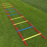 agility ladder