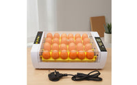 See-Through Electric Egg Incubator Corded Egg Incubator with Transparent Lid Temperature Control Compact for Hobbyists, Classroom