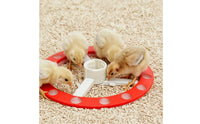 Low-Spill Chick Waterer with Circular Circle Plastic Chick Waterer Drip Free Feeder Dry for Chicks, Small Poultry