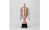 Lidded Award Trophy Decorative Metal Trophy with Handles Elegant for Students