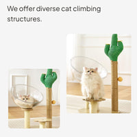 Xerophyte Cat Scratching Post with Space Capsule