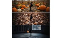 5 Pieces Outdoor Skeleton Hand Yard Stakes Black Skeleton Hand Garden Stakes Haunted Eerie for Halloween