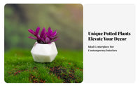 small Landscape Plant Ornament Realistic Appearance small Landscape Plant Easy to Maintain Dollhouse Flowerpot Model for Hobbyists, Terrarium, Desktop