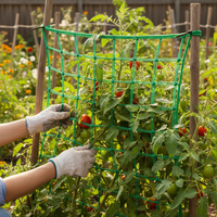 Garden Trellis Netting for Climbing Plants, Fruits, and Vegetables