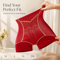 Embroidered High-Waist Tummy Control Breathable Seamless Panties for Women