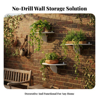 Semicircle Hanging Container on the vertical surfaceMounted Plant Holder adaptable for Renters